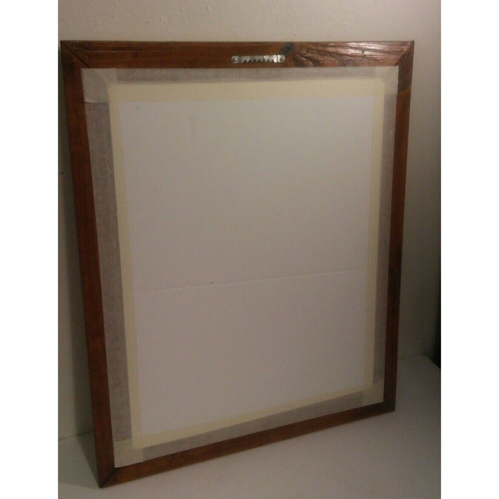 Butterfly Mounts - in 21 x 17" frame - Picture 7 of 8